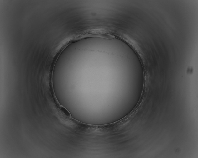 X0000091510297200708311233