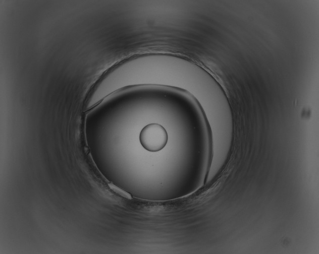 X0000091510301200708311233