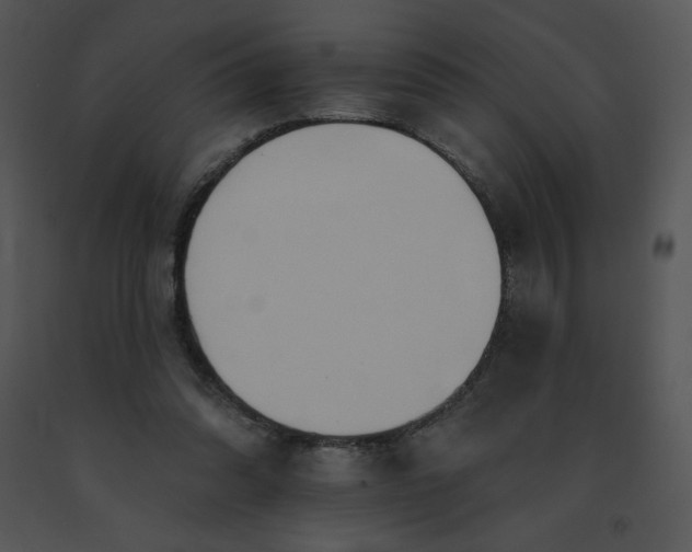 X0000091510302200708311233