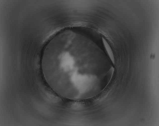 X0000091510303200708311233