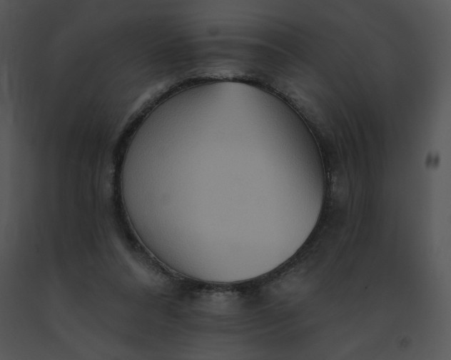 X0000091510304200708311233