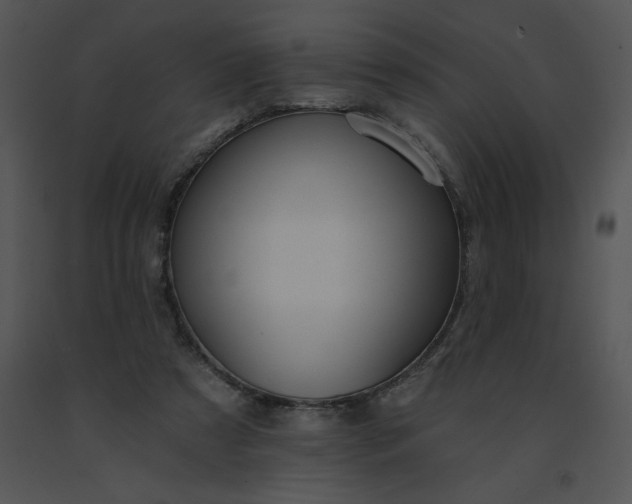 X0000091510305200708311233