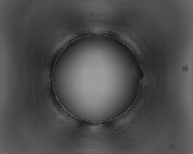 X0000091510306200708311233