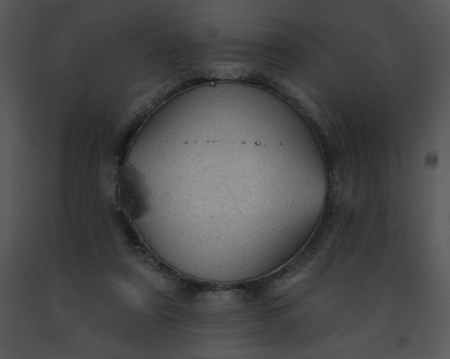 X0000091510307200708311233