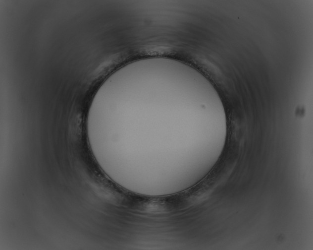 X0000091510308200708311233