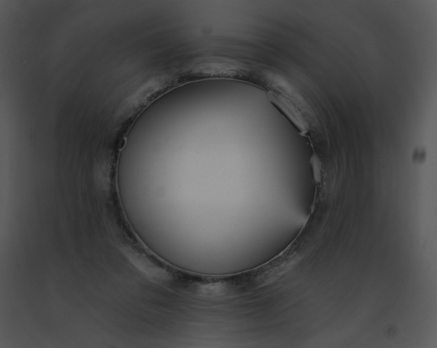 X0000091510309200708311233