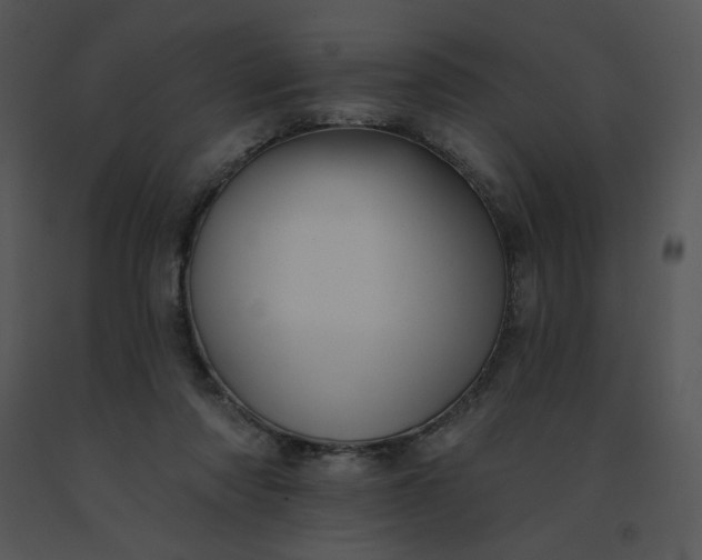 X0000091510310200708311232