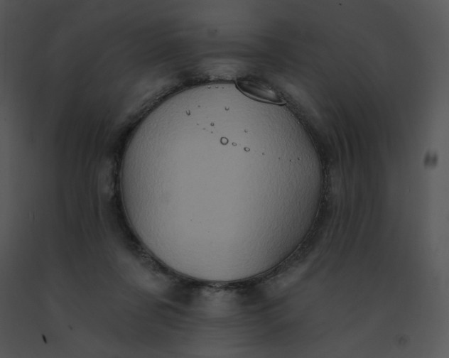 X0000091510311200708311232