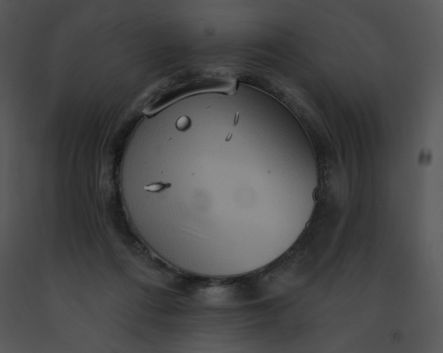 X0000091510312200708311232