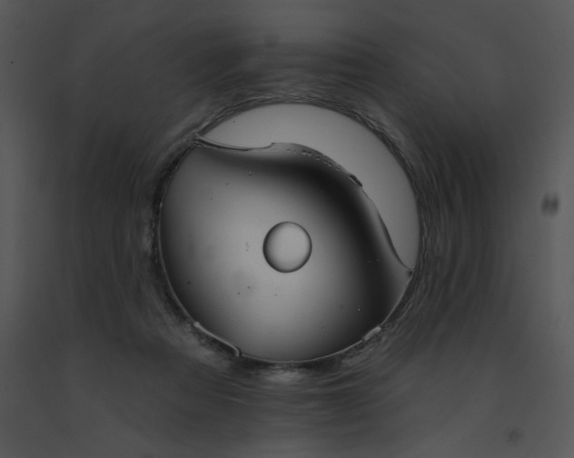 X0000091510313200708311232