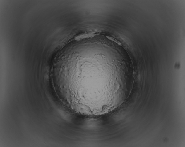 X0000091510315200708311232