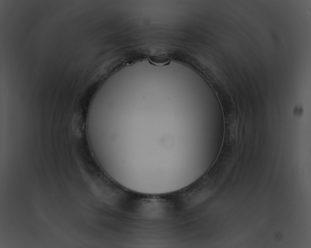 X0000091510316200708311232