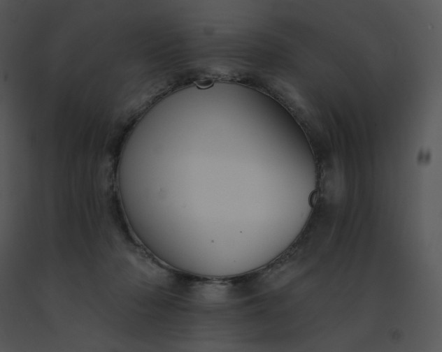 X0000091510318200708311232