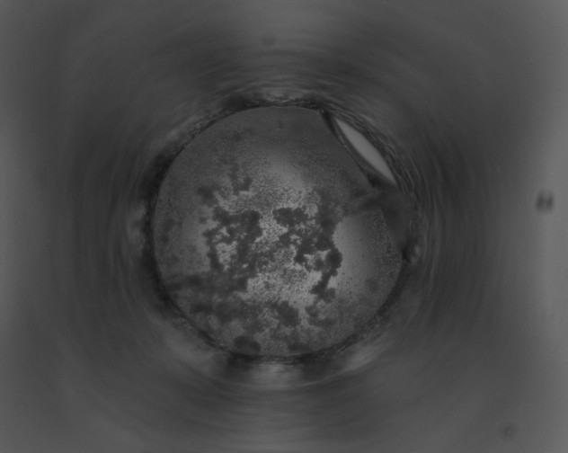 X0000091510319200708311232