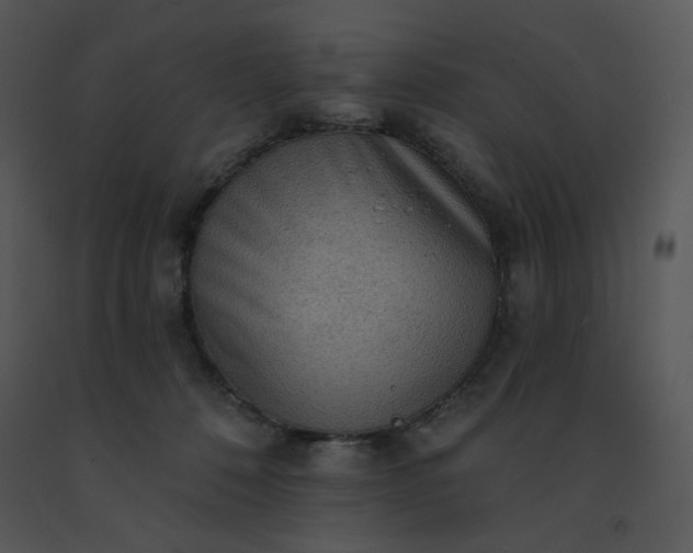 X0000091510320200708311232