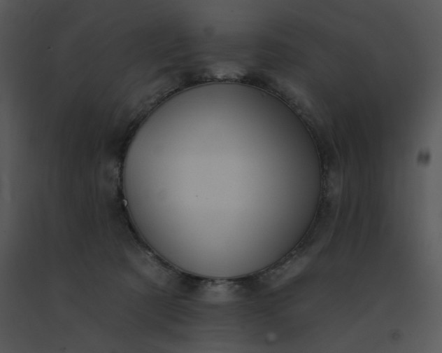 X0000091510321200708311232