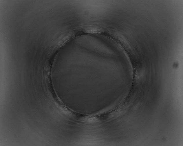 X0000091510322200708311232