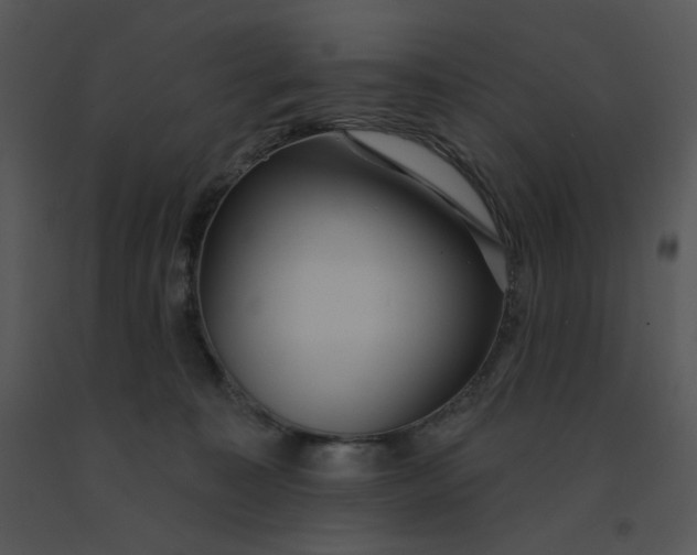 X0000091510323200708311232