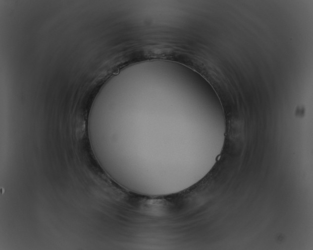 X0000091510324200708311232