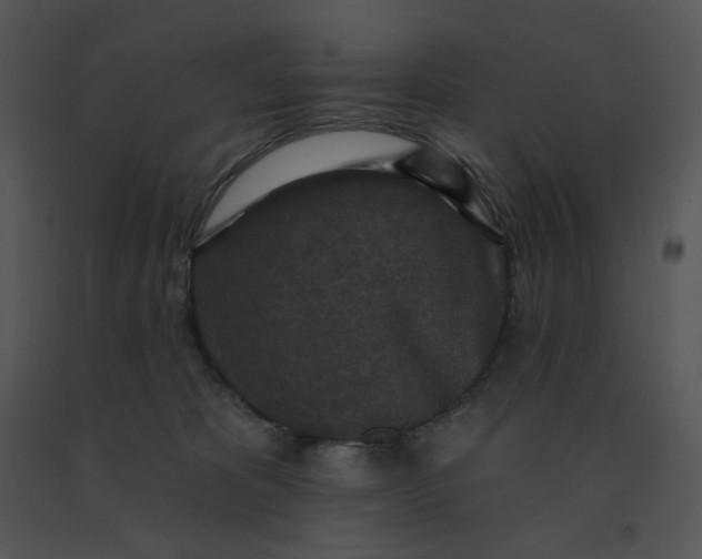 X0000091510325200708311232