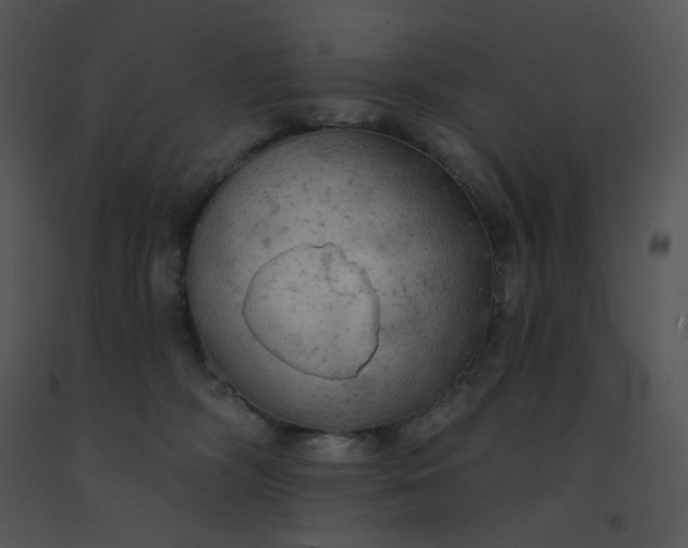 X0000091510326200708311232