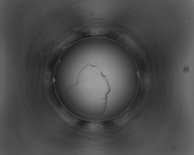 X0000091510327200708311232