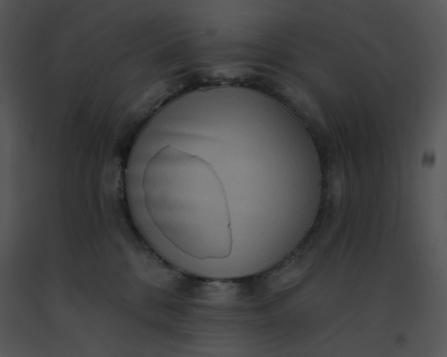 X0000091510328200708311232