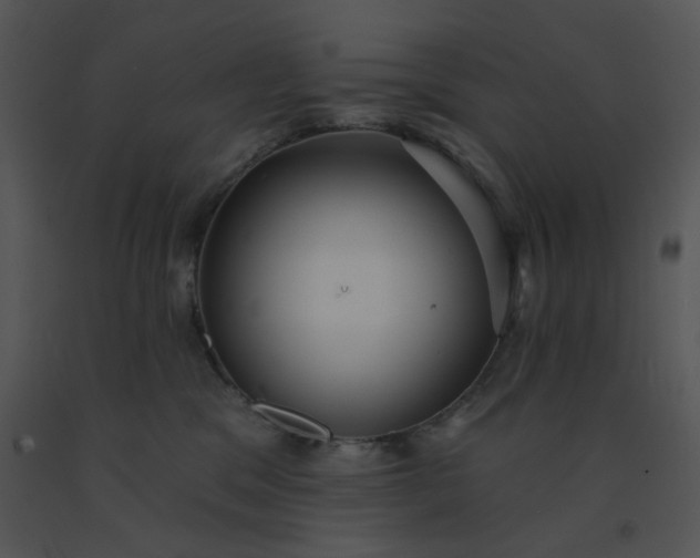 X0000091510329200708311232