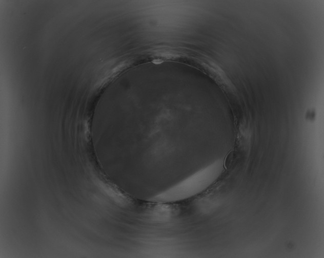 X0000091510330200708311232