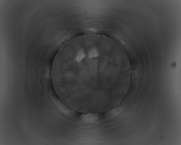 X0000091510331200708311232