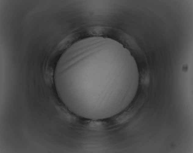 X0000091510332200708311232