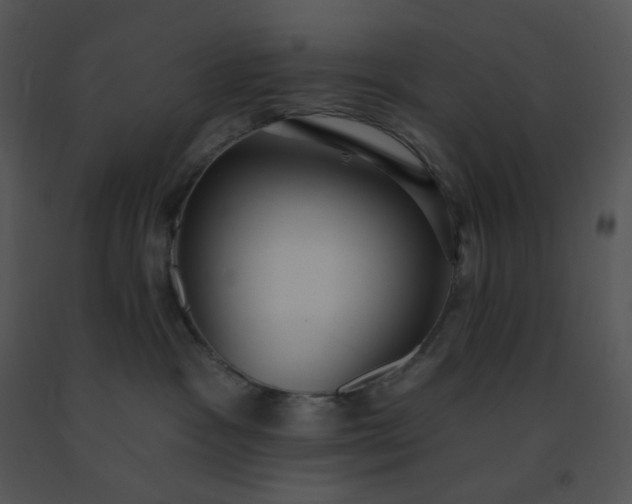 X0000091510333200708311232