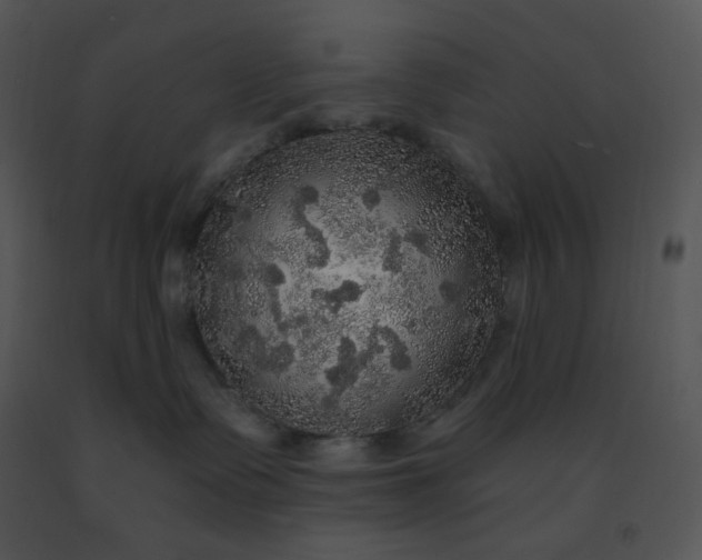 X0000091510335200708311232