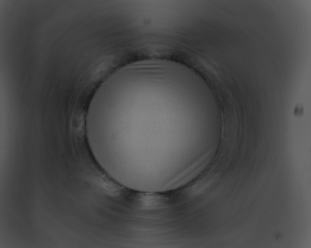 X0000091510336200708311232