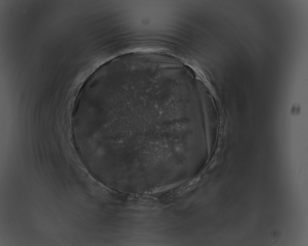 X0000091510337200708311231