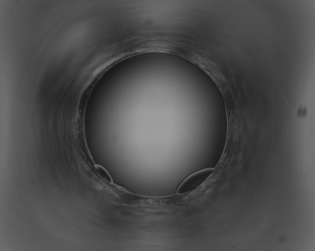 X0000091510338200708311231