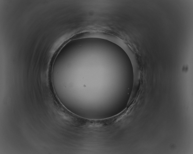 X0000091510340200708311231