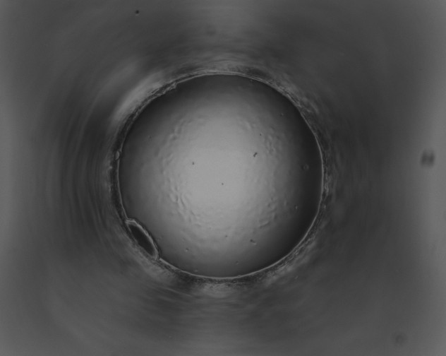 X0000091510341200708311231