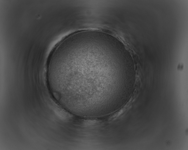 X0000091510342200708311231