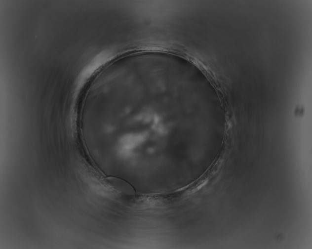 X0000091510343200708311231