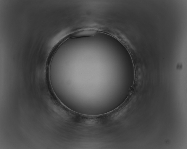 X0000091510344200708311231