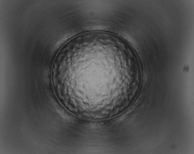 X0000091510345200708311231