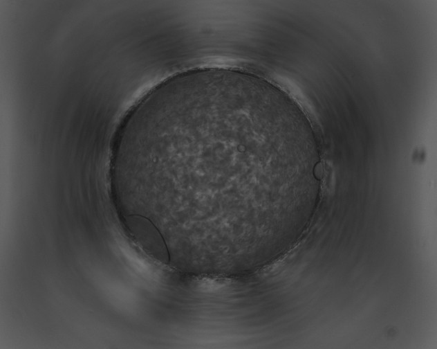 X0000091510346200708311232