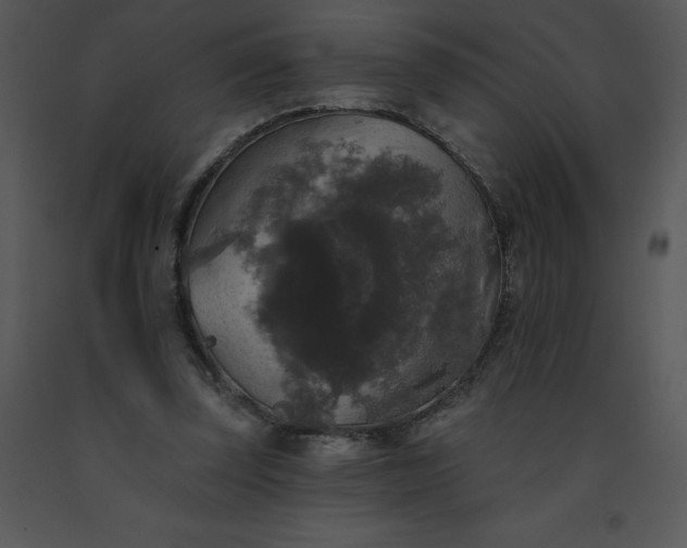 X0000091510347200708311232