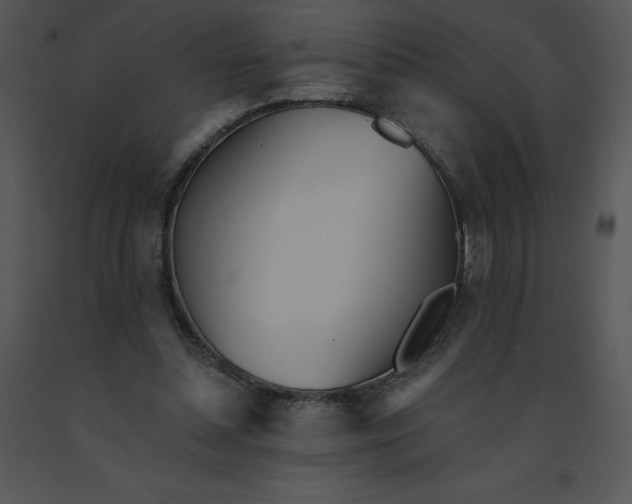 X0000091510348200708311232