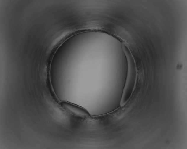 X0000091510350200708311232