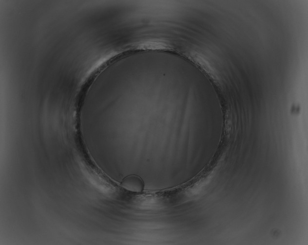 X0000091510351200708311232