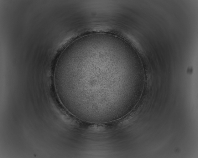 X0000091510354200708311232