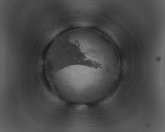 X0000091510355200708311232