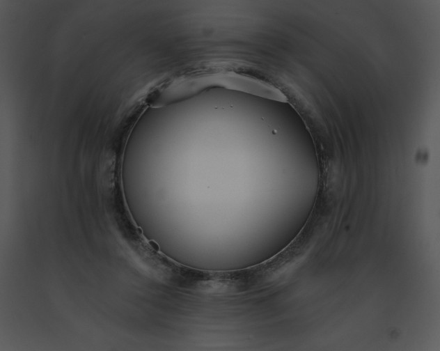 X0000091510356200708311232